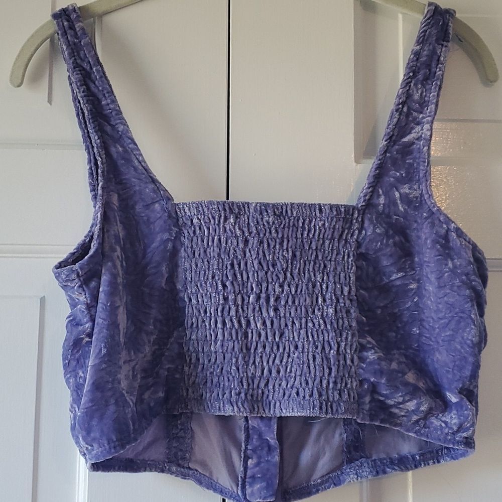 WILD FABLE CRUSHED VELVET CROPPED BUSTIER TOP SIZE SMALL PURPLE SEXY WITCHY - Picture 4 of 6